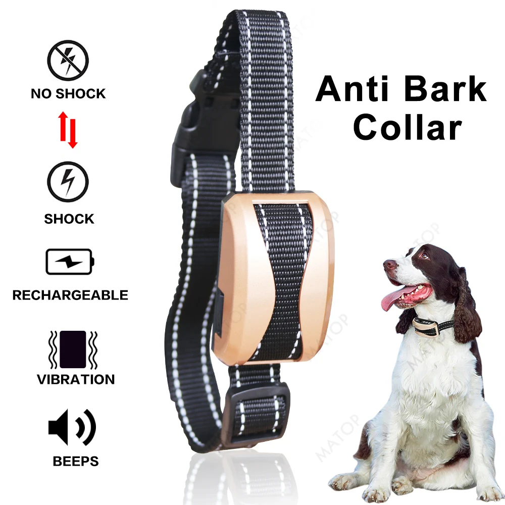 Dog Training Levels Dog Training Levels