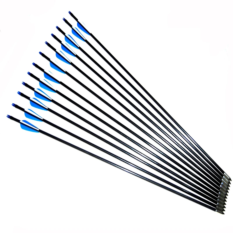 12pcs Fiberglass Arrows Recurve Compound Bow Shooting Blue Hunting