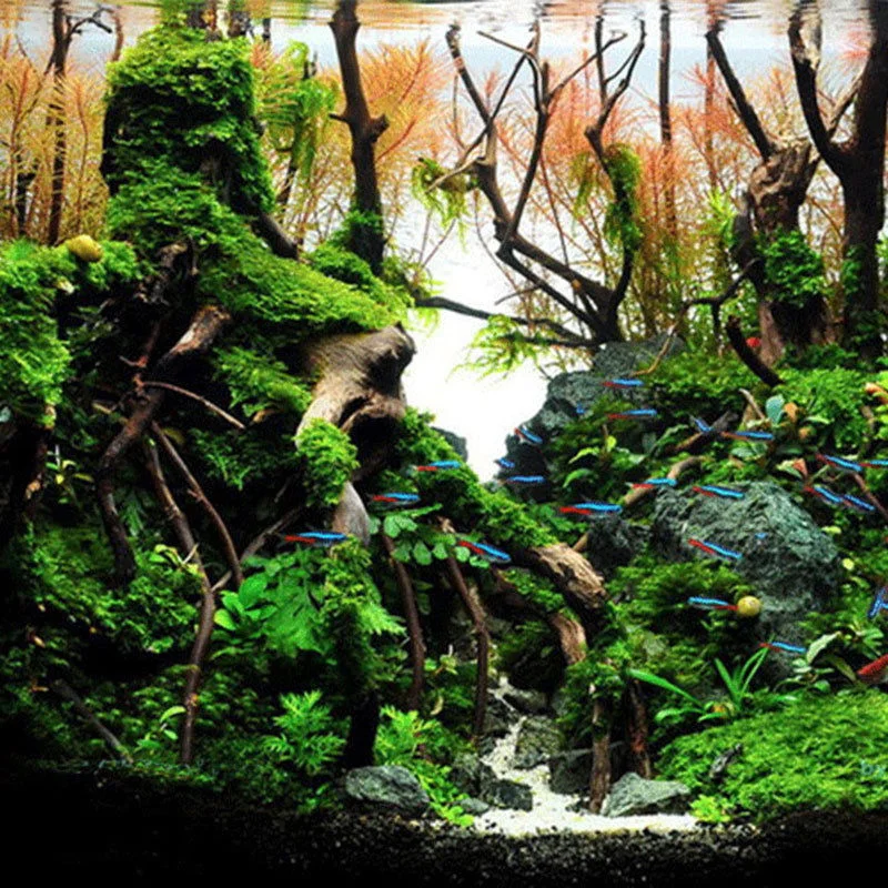 1PC Aquarium Tree Trunk Driftwood Fish Tank Reptile Plant Stump Ornament Landscap Decor Decoration Ornaments