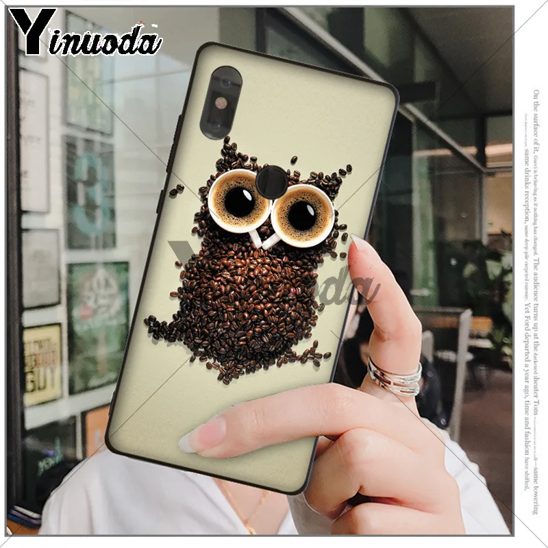 Animal Night Owl 
