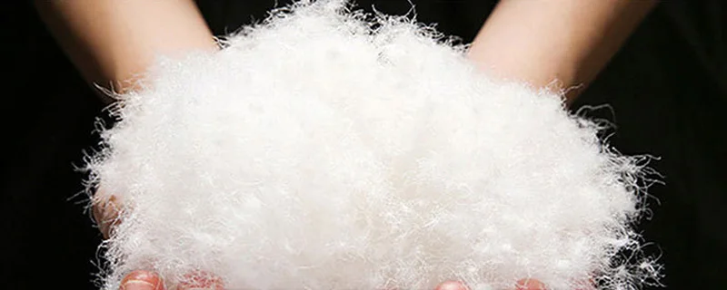 20170725_124751_048 2