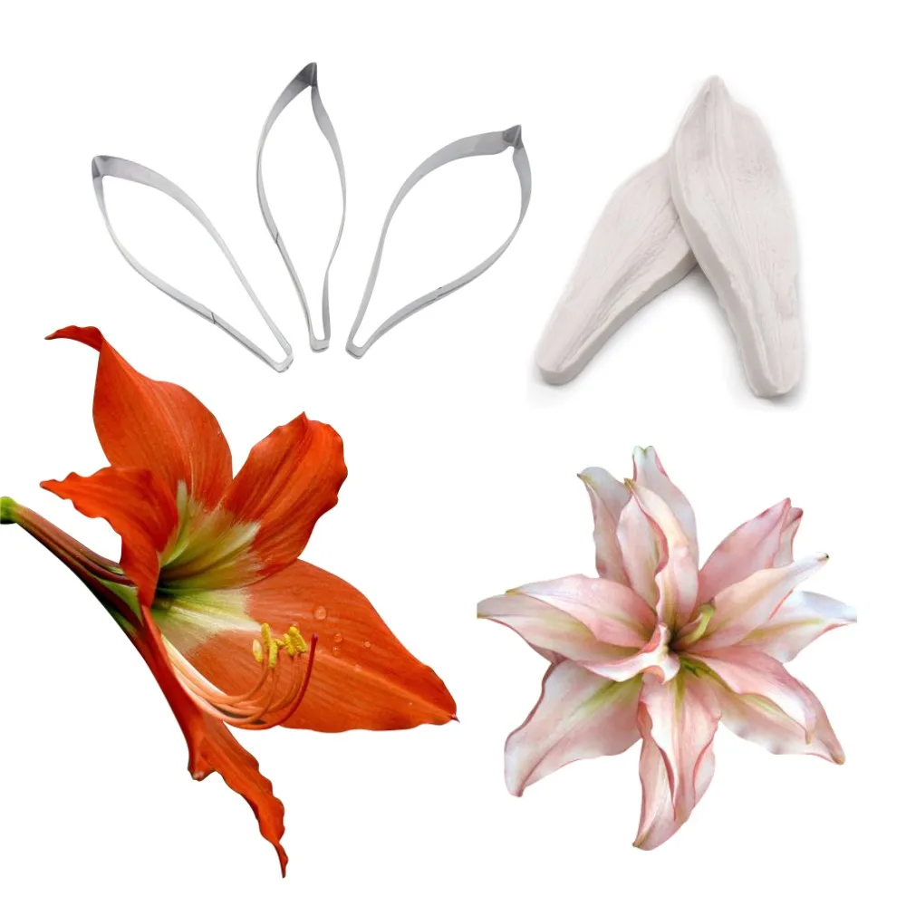 Barbados lily-5