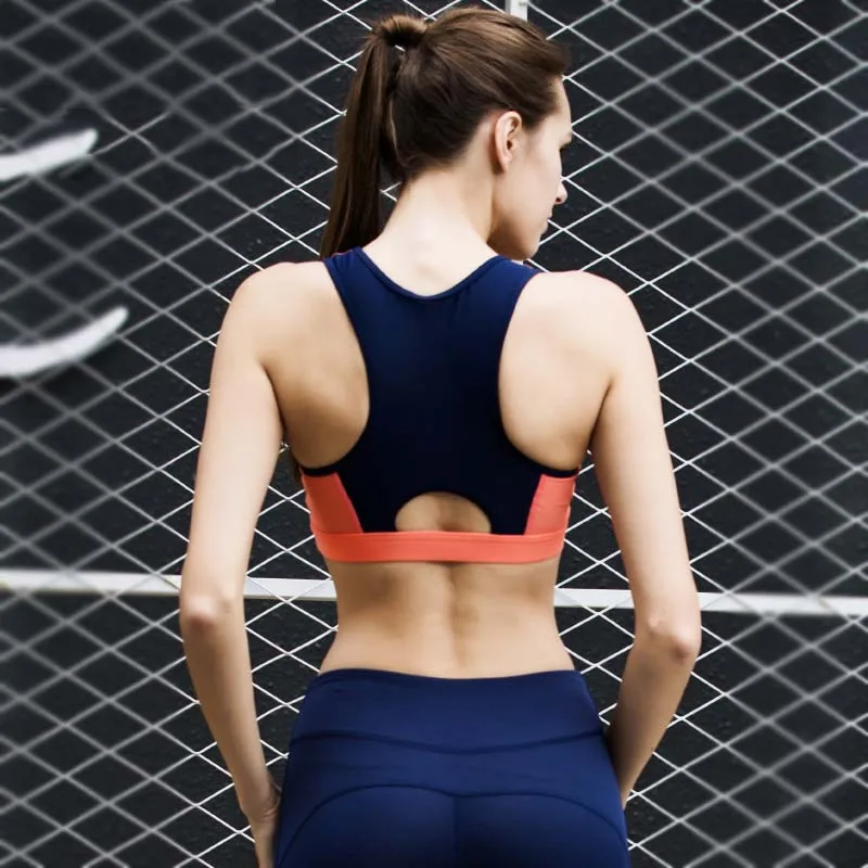 zhu1