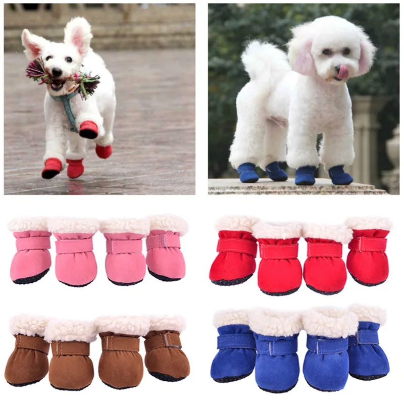 puppy sneakers for dogs