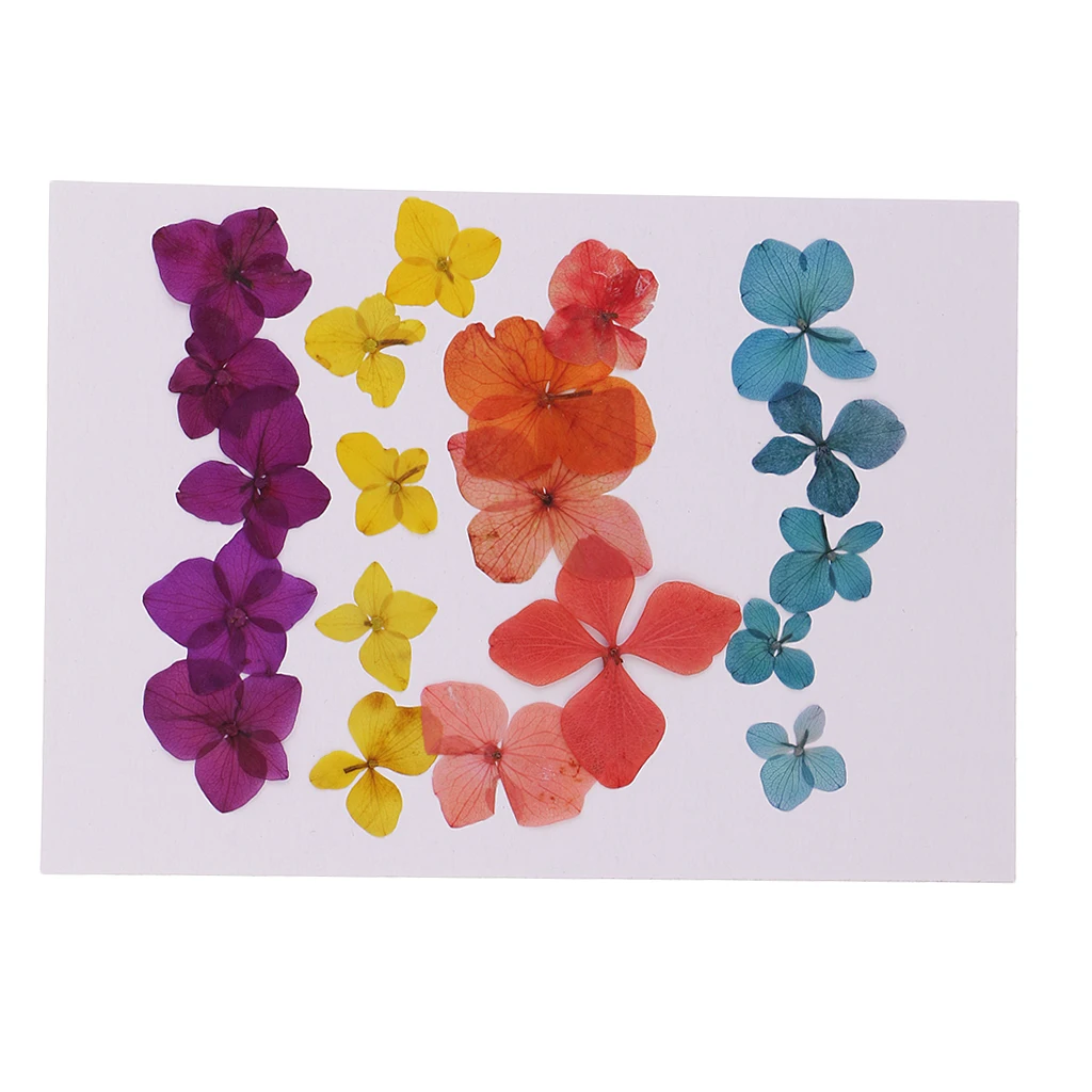 20 Pieces Pressed Natural Dried Flowers Hydrangea Embellishment For DIY Phone Case Handmade Specimen Craft