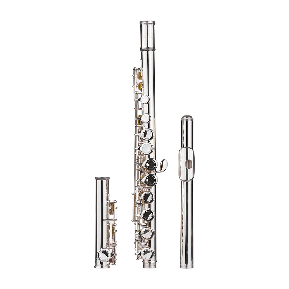 16 закрытых отверстий набор Woodwind Instrument C Key Flutes Cupronickel посеребренный с чистящей