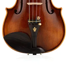 Скрипка Кристина V08B Италия профессиональная скрипка o 4/4 высокое качество ель Мастер Уровень Скрипка чехол