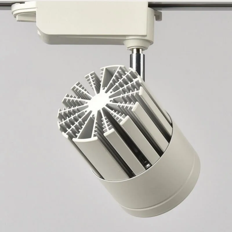 30 Вт черный/черный корпус COB LED дорожное освещение алюминиевая железнодорожная