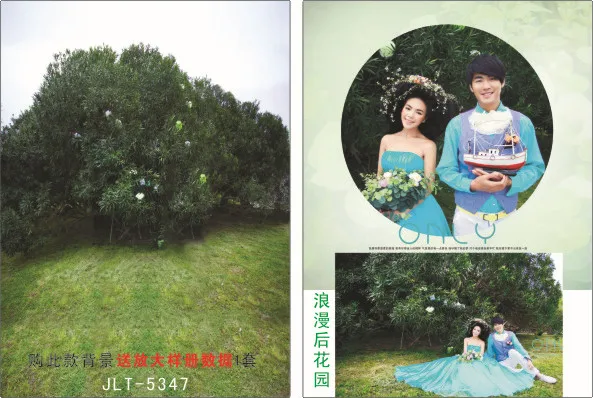 

SHANNY 200cm*300cm Vinyl Backdrops for Photography Wedding Photo  Background Studio Prop JL-5347