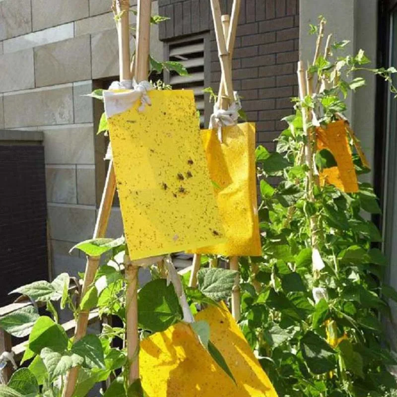 

30PCS Strong Flies Traps Bugs Sticky Board Catching Aphid Insects Pest Killer Strong Flies Traps Bugs Stick dropshipping