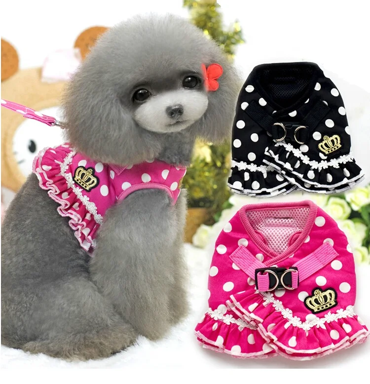 cute dog leads