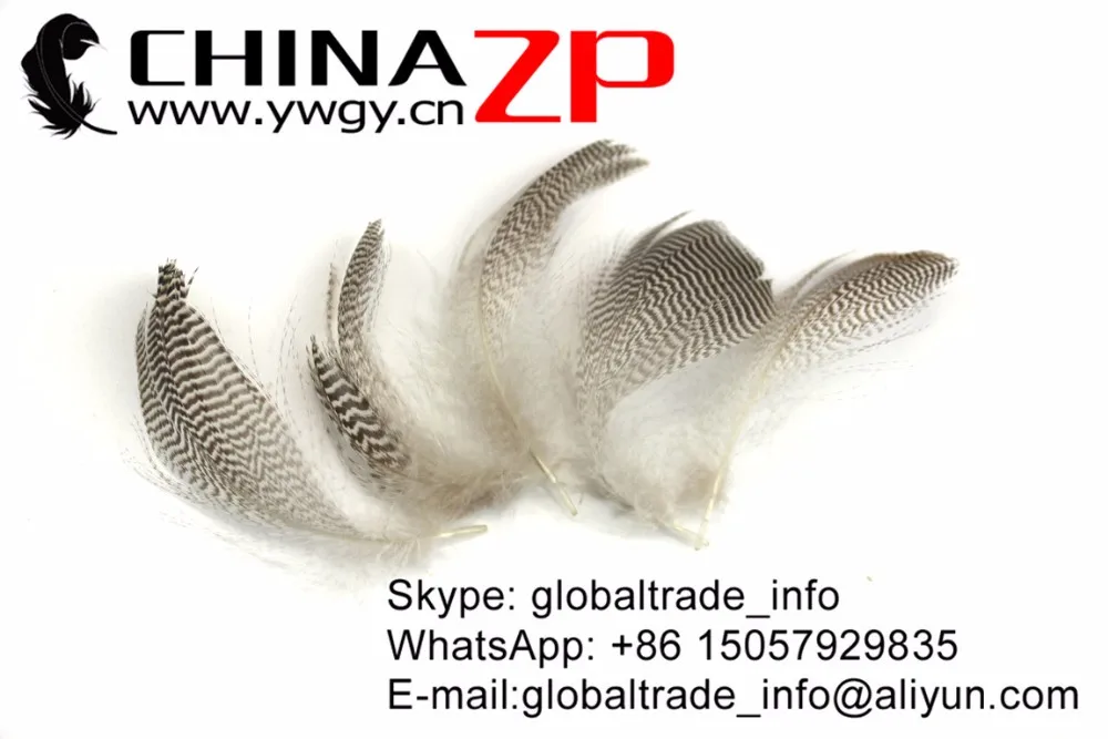 Natural Mallard Duck Feathers (5)