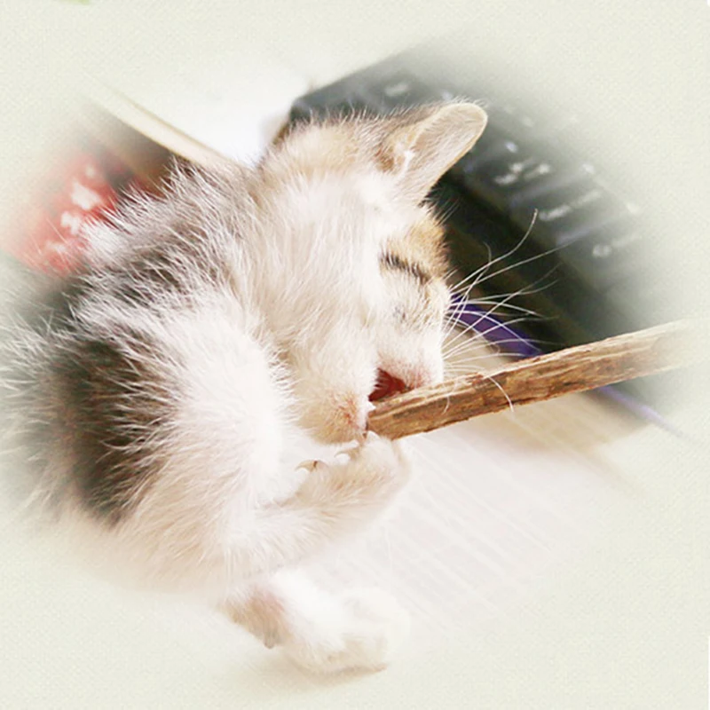 2 шт./упак. кошка чистка зубов дерево котенок молярная зубная паста палки натуральный для кошек снэки палочки уход за зубами игрушки