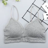 Gray Bra