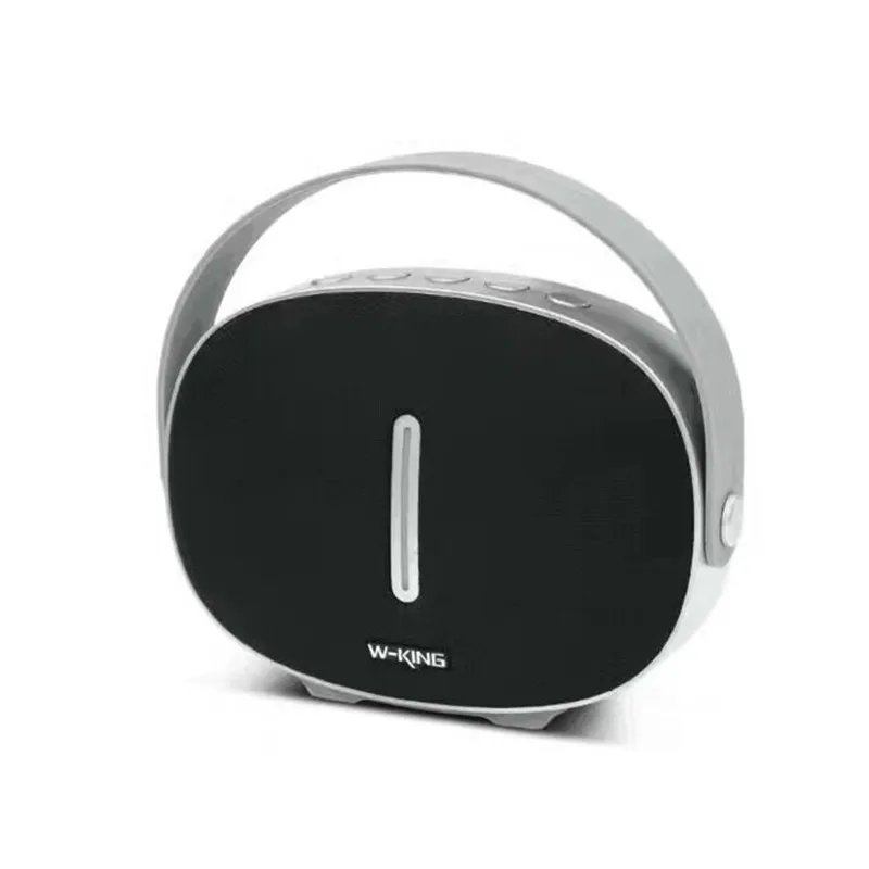 W-king динамик s мини портативный bluetooth-динамик беспроводной с fm-радио для iphone X samsung bluetooth-колонки для телефона громкой связи - Цвет: Черный