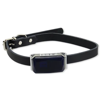 

Real-time tracking GPS Tracker G12 for pets dog Automatic voice control recording History route playback smart tracking locator