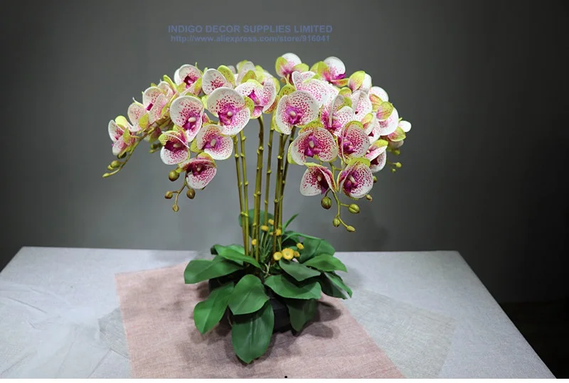 INDIGO-3D с принтом лепестков фаленопсис шампанского орхидеи(7 цветов/стебель) цветок свадебный цветок цветочный для вечеринки