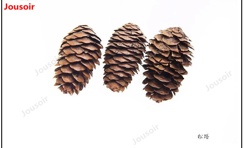 36020190128173743183