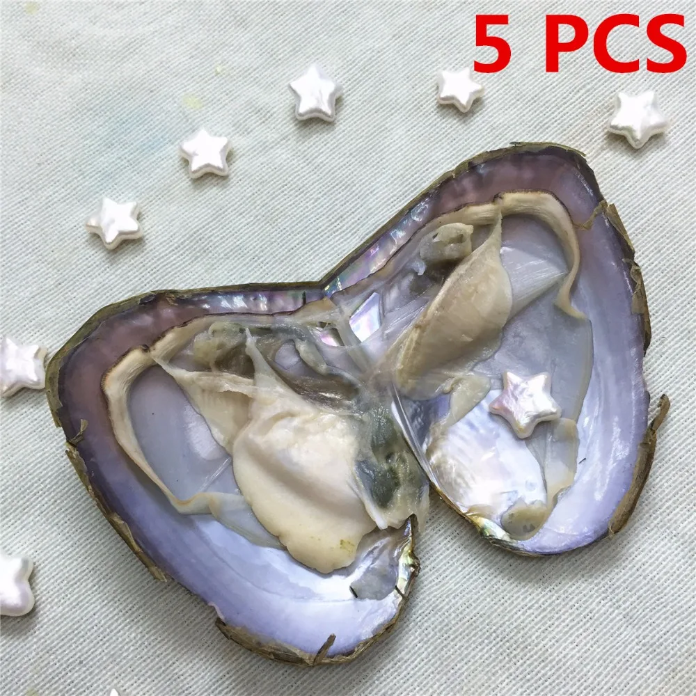 5PCS New Product 8 10mm Five pointed star Pearl in Freshwater Oyster