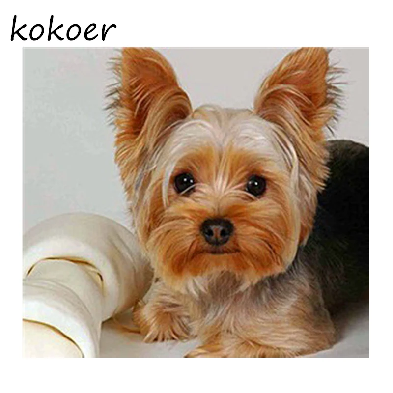 

Full,Diamond Embroidery,Animal,Yorkshire Terrier Dog 5D,Diamond Painting,Cross Stitch,Diamond Mosaic,Needlework,Crafts,Christmas