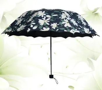 

Liliaceous gelatine arched flounce umbrella