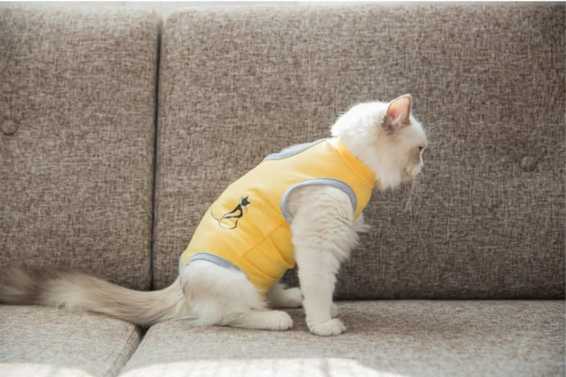 NOBLEPET одежда для домашних животных, котов анти-лик костюм дышащая кошка Ablactation стерилизации костюм Лето домашнее животное хирургический халат кошка Костюмы