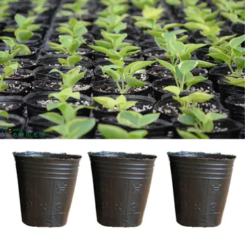 

Behogar 200pcs Disposable Plastic Plant Flower Pots Seed Tray Perfect for Indoor Outdoor Gardening Plants 3.94 x 3.74 Inch