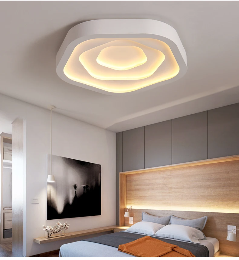 Ceiling lamp (4)