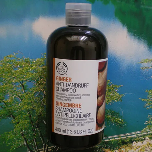 Body shop body shop ginger anti hair loss shampoo anti dandruff 400ml