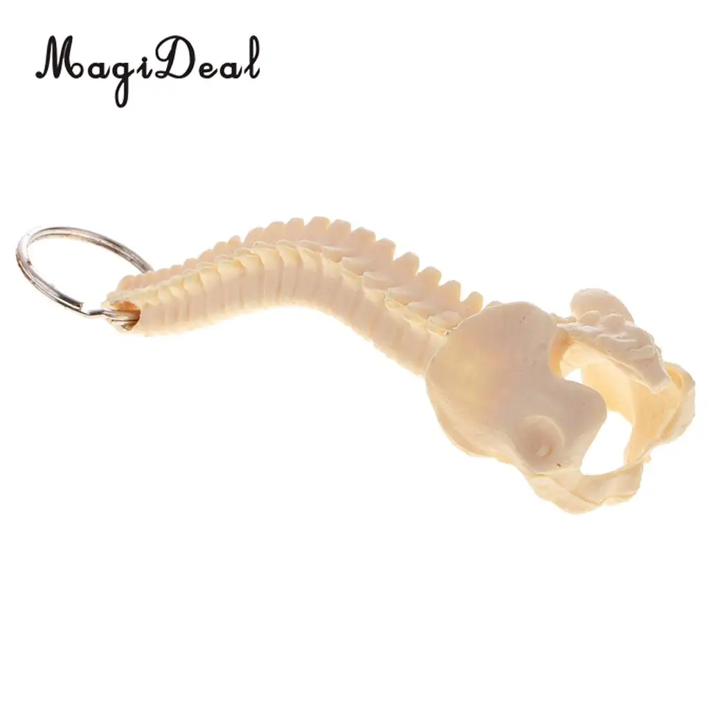 MagiDeal 1Pc Mini PVC Material Handcrafted Human Spine Skeleton Model Keychain for School Teaching Aid Tool Novelty Gift Beige