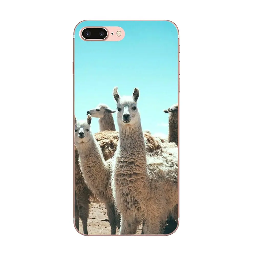 Лама ламы альпаки животных ТПУ защитные чехлы для телефонов Galaxy A3 A5 A7 A8 A9 A9S On5 On7 Plus