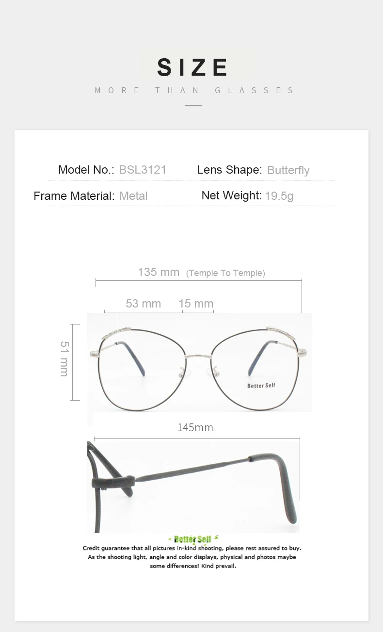 BSL3121-size