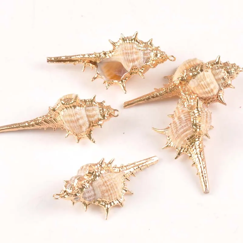 

20x40mm 5pcs Natural Gold Plated Conch Shells For DIY Pendant Beige Seashell Craft Handmade Accessories Home Beach Decor tr0261