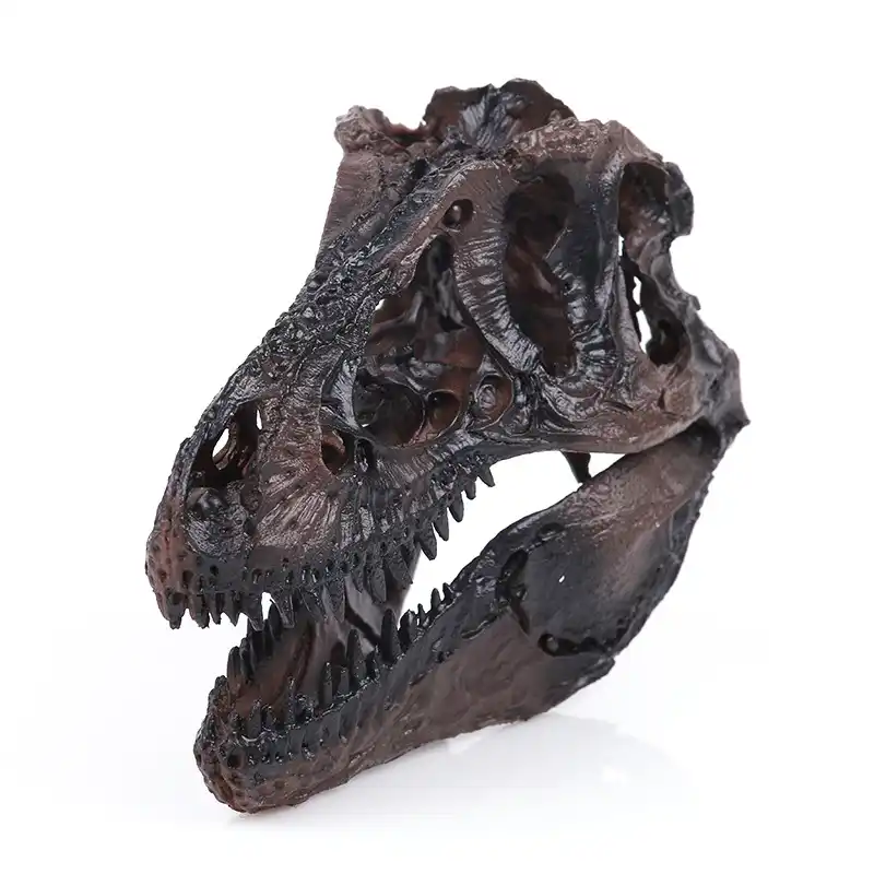 Resin Black Dinosaur Skeleton Model Tyrannosaurus Rex Head Bone