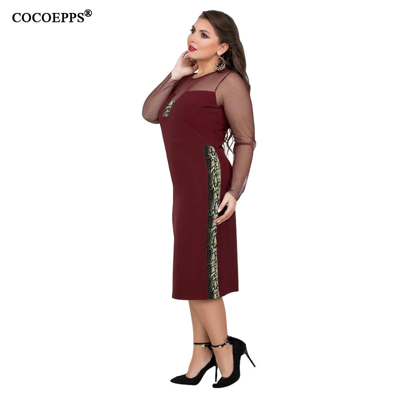 COCOEPPS  11