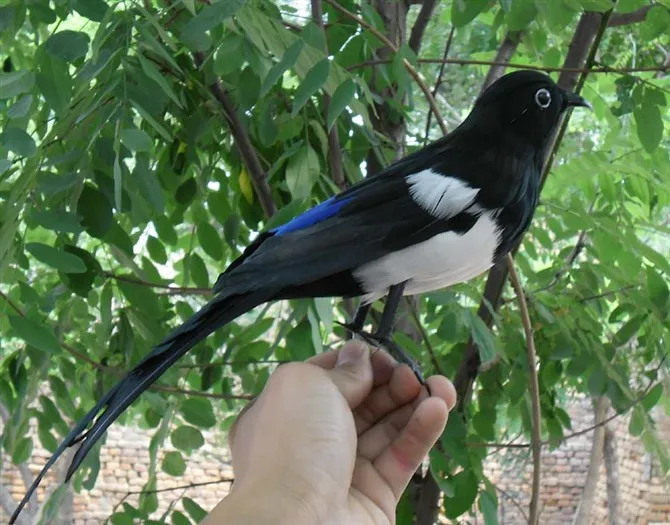 

30cm feathers Magpie bird model toy,polyethylene&furs handicraft, garden decoration, home furnishings props,gift,d444