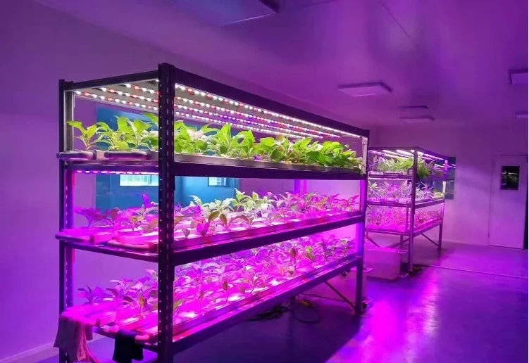 High Yield 90cm LED Grow Lights / T8 12Watt Standard / Supplement