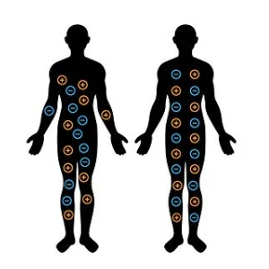 c47a392f-721d-451f-aee6-4cd5cada483b._CR0,0,300,300_PT0_SX300__