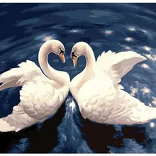 Красивые два белых лебедя, играя в воду, напечатаны DIY цифровая картина маслом по номерам ручная роспись маслом 40x50 см без рамки