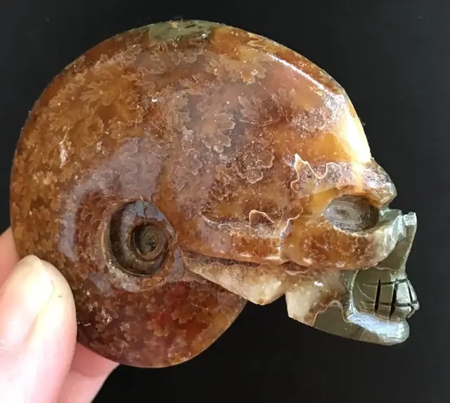 Special Price 82g NATURAL FOSSIL Carved Crystal Skull, Crystal Healing Special Price 82g NATURAL FOSSIL Carved Crystal Skull, Crystal Healing