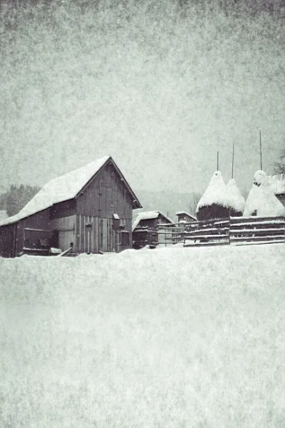 

600Cm*300Cm Fundo Snow Overcast Cold3D Baby Photography Backdrop Background Lk 1890