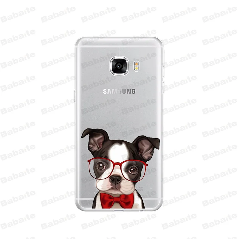 Cute  French Bulldog cartoon dog and cat