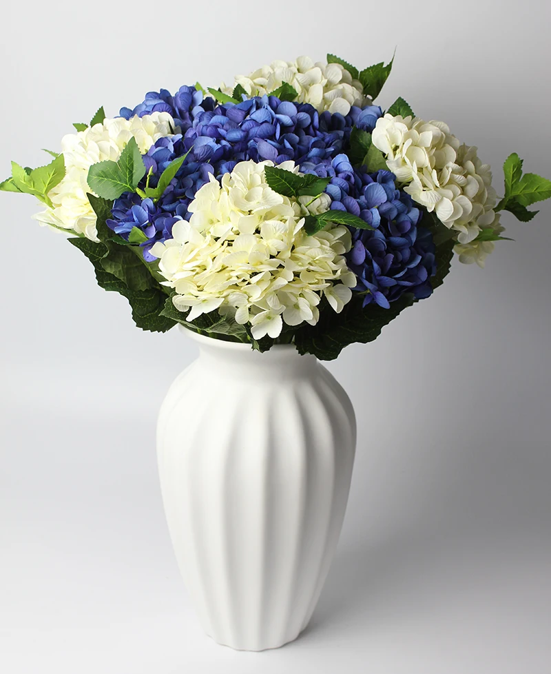 5white5deepblue