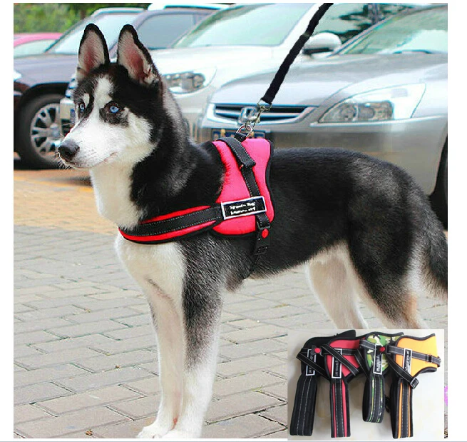 Nylon Pets Dogs Harnesses Collars Pulling Training Harness Sport
