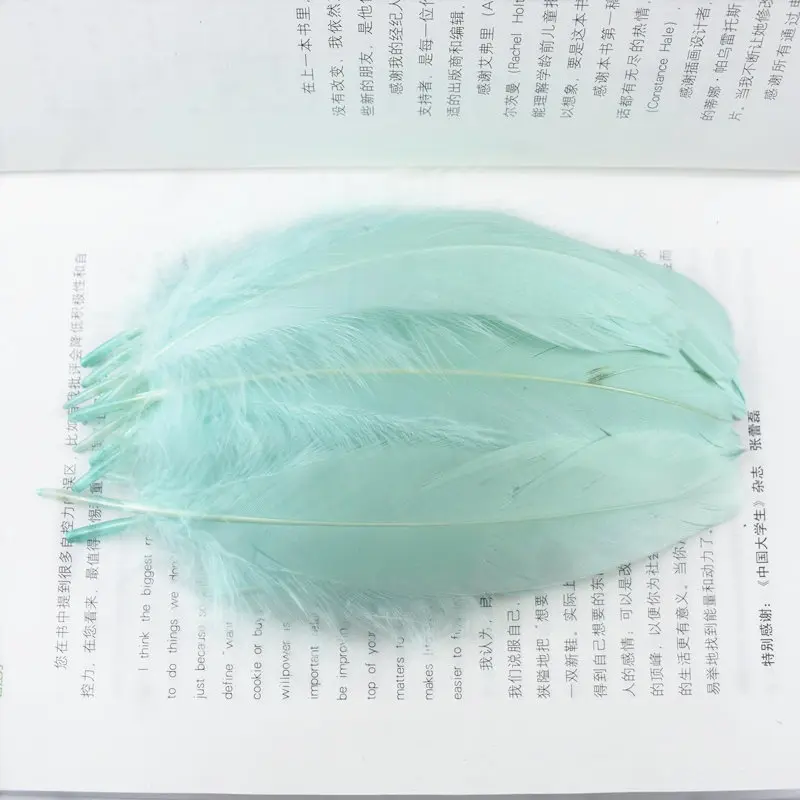 20 шт Высокое качество натуральные разноцветные гусиные перья для рукоделия plume13-18cm вечерние перья для самостоятельного изготовления ювелирных изделий украшения для дома - Цвет: Mint Green