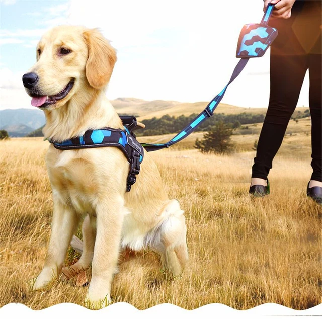 Buy 1.5M Top Quality Soft Mesh Padded Nylon Dog Leash
