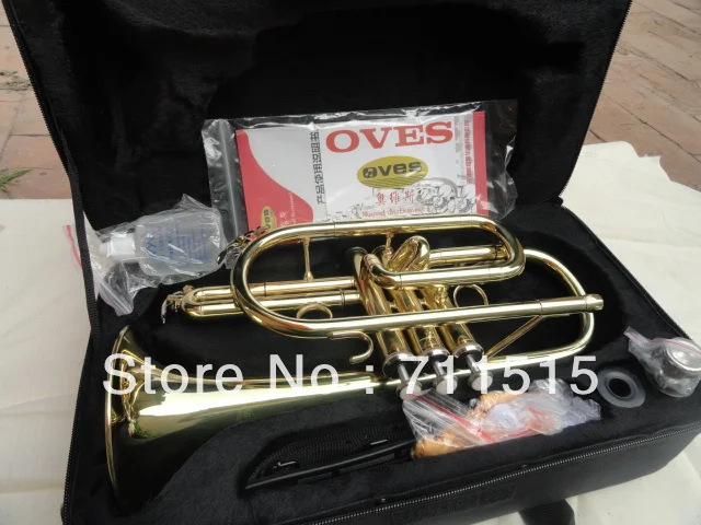 Cheap Brand OVES Hot Selling Students B the Cornet Trumpet Instrument Brass Gold Lacquer Trompeta with Nylon Case