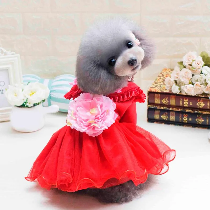 2017 NEW Attractive Cute Fashion Pet Puppy Small Dog Cat Clothes