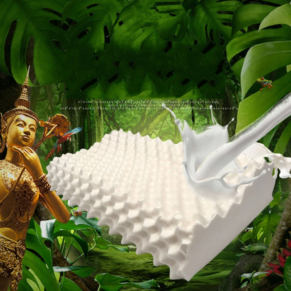 

Thailand Pure Natural Latex Pillow Remedial Neck Protect Vertebrae Health Care Orthopedic Slow Rebound PurenLatex Foam Pillows
