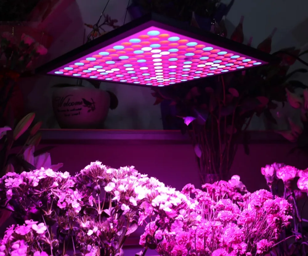 Spider Cob 225 LEDs Full Spectrum 45 Watt LED Grow Light Kits for